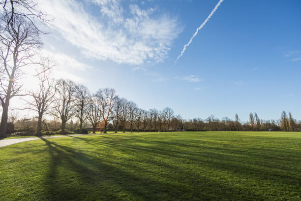 istock Sunny park in United Kingdom 1173983032