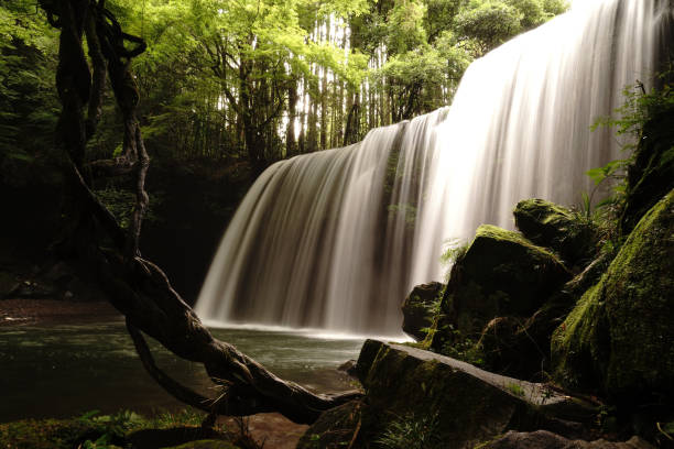 istock Water curtain and beautiful waterfall 1173985602