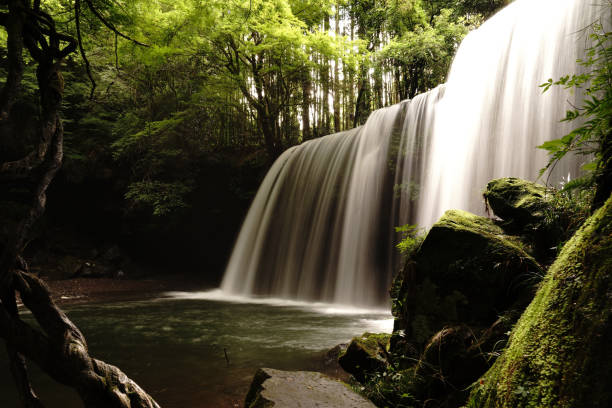 istock Water curtain and beautiful waterfall 1173986395