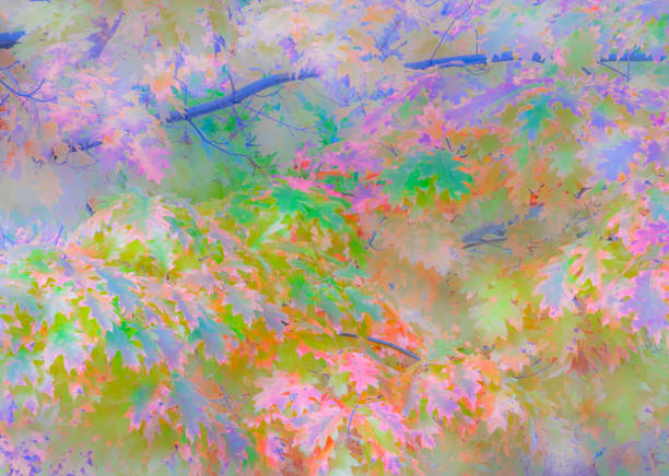 Abstract pastel close-up of autumn oak tree in Big Bear Lake Village.  Autumn Oak Tree,  Big Bear Autumn, Autumn forest, Autumn background, Oaks in Fall color, fall color, pastel autumn color, autumn oak tree detail
