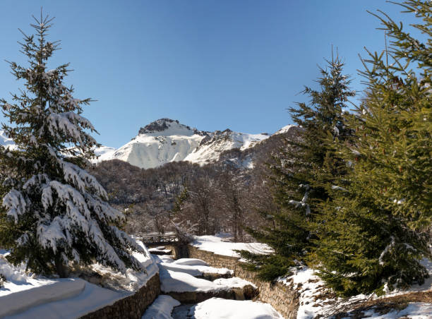 śnieżny krajobraz z mostem, ośnieżoną górą i drzewami w ośrodku narciarskim nevados de chillán - winter stream river snowing zdjęcia i obrazy z banku zdjęć