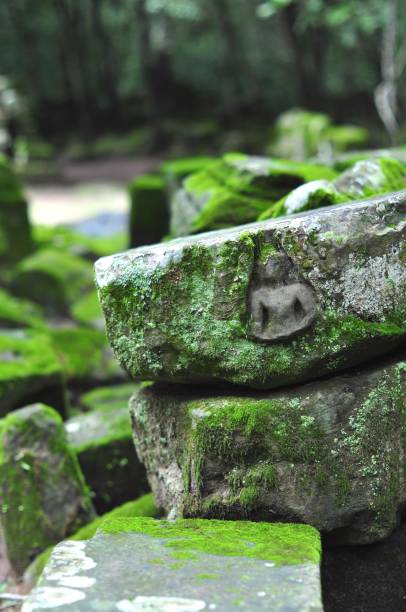 istock Little Buddha in the Moss 2 1174012877