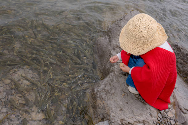 a young girl playing by the lake side, feeding the fishes