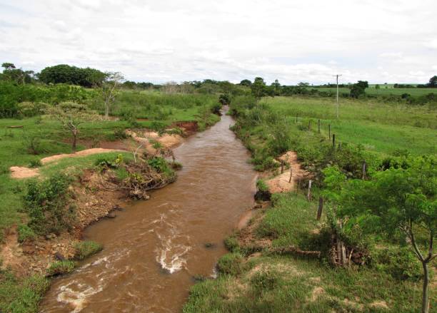 istock River with erosion and without riparian forest 1174018429