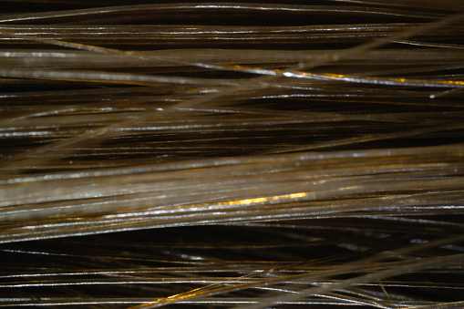 Macrophotography of brown hair strands.