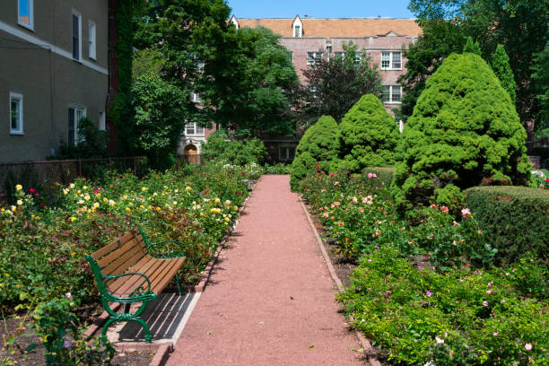 istock Path with a Bench at the Merrick Rose Garden in Evanston Illinois 1174026525