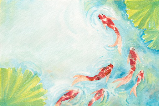 Watercolor hand painting, two koi carp fish in a pond, the symbol of good luck and prosperity.