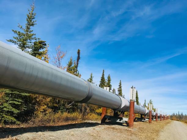 istock Trans Alaska Pipeline - Alaska 1174033266