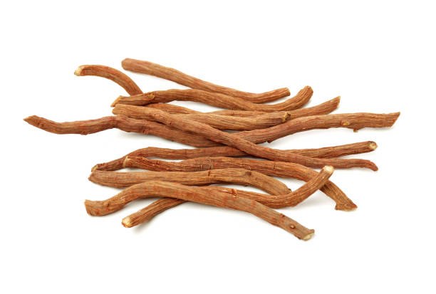 istock Red Sage Root（Salvia miltiorrhiza Bge）on white background 1174040427