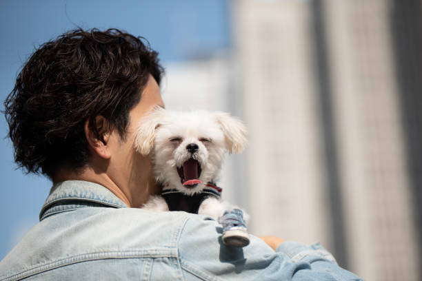 Closeup of puppy and man