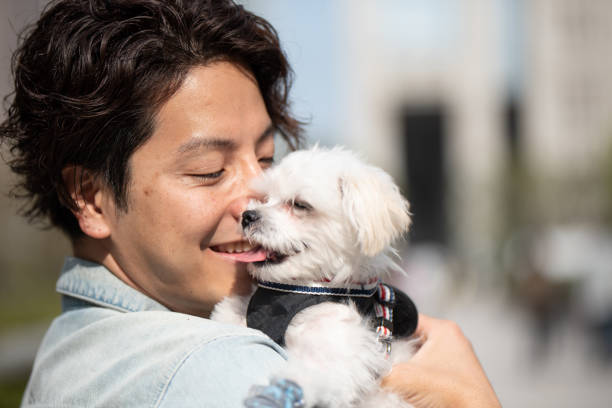 istock Closeup of puppy and man 1174042676