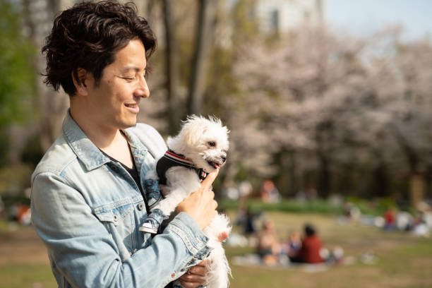 istock Man and puppy under tree of cherry blossoms 1174042768