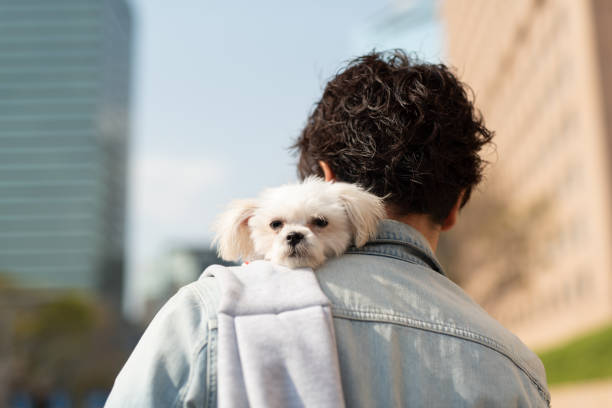 istock Rear view of man and puppy 1174042822