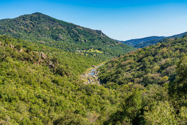 View across the Jimena de la Frontera countryside, Andalusia, Spain View across the Jimena de la Frontera countryside, Cadiz province, Andalusia, Spain grazalema stock pictures, royalty-free photos & images