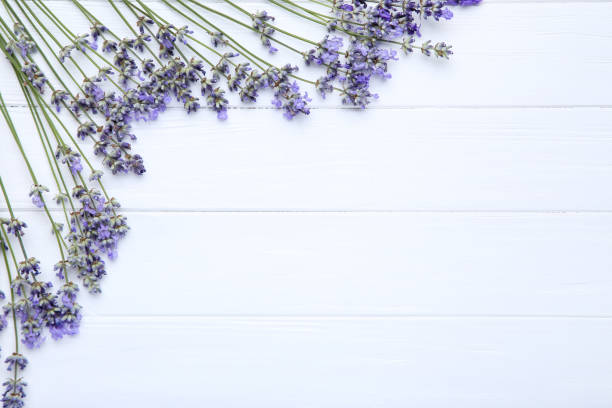 istock Lavender flowers on white wooden table 1174061757