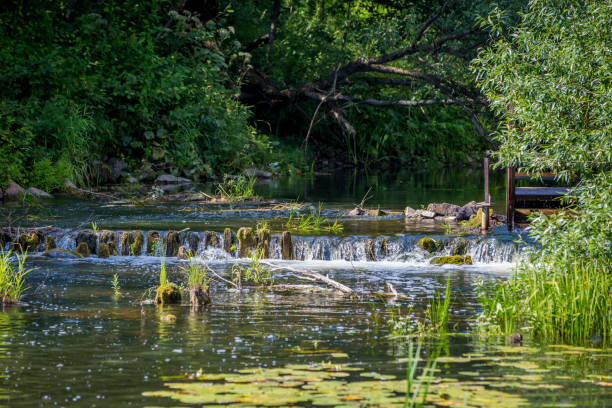 istock River bank in summer nature 1174064323