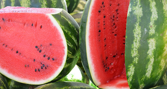 fresh and organic watermelon in market