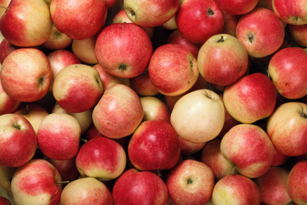 istock Lots of red apples. Natural condition. Top view 1174067559