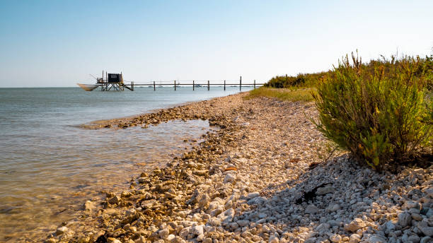 Gironde estuary, Charente-Maritime, France