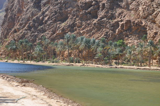 istock Panoramic view of Wadi Shaab, Oman 1174069980