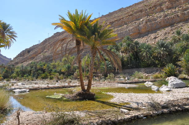 istock Waterpool in Wadi Bani Khalid, Oman 1174070102