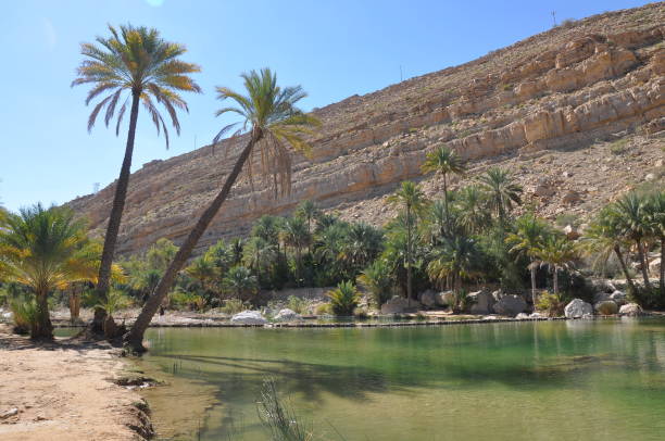 istock Waterpool in Wadi Bani Khalid, Oman 1174070104