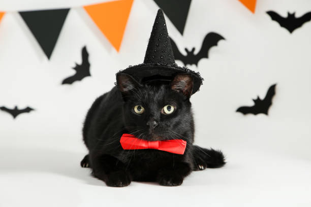 istock Black cat in red bow tie with paper bats and flags on white background 1174070165