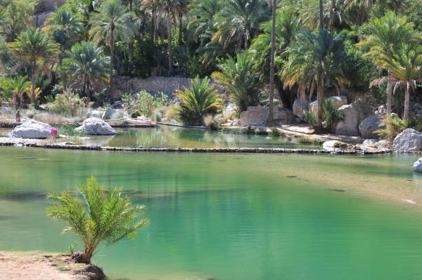 istock Waterpool in Wadi Bani Khalid, Oman 1174070168