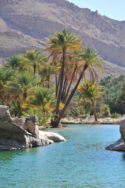 istock Waterpool in Wadi Bani Khalid, Oman 1174070201