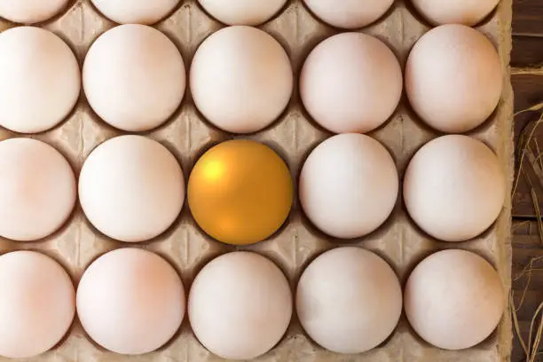 Photo of invest in gold egg