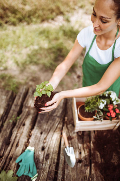 istock taking care of the plant 1174071746