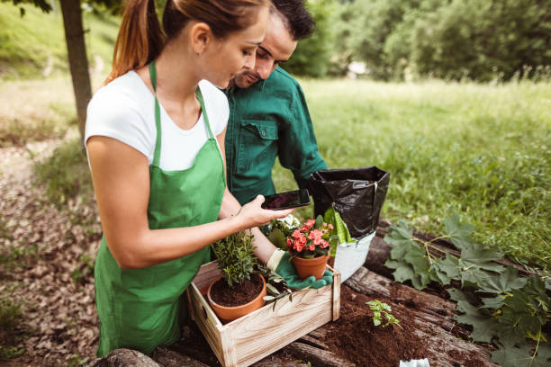 istock taking pics of the plant while they do gardening 1174072299