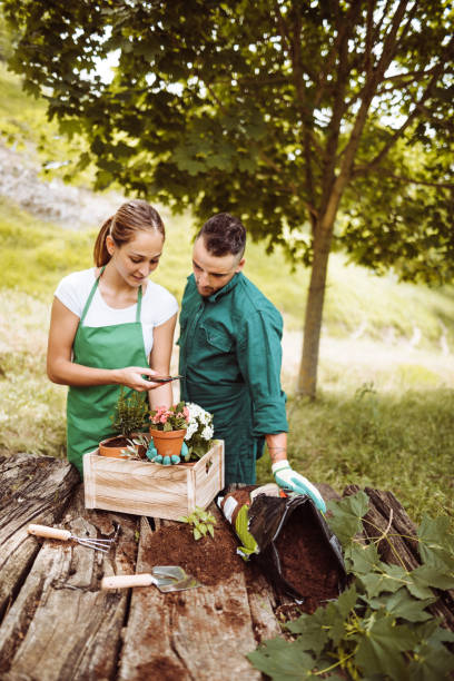 istock taking pics of the plant while they do gardening 1174073272