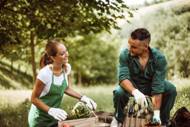 istock couple working together for gardening 1174074098