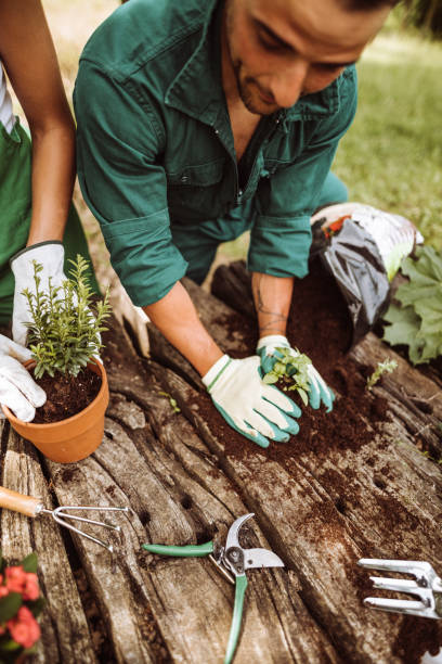istock couple working together for gardening 1174074163