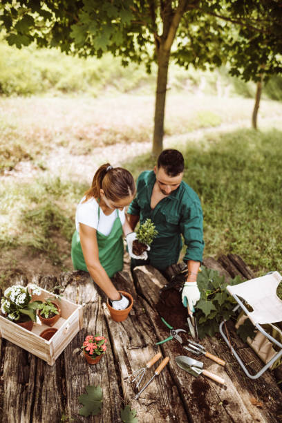 istock couple working together for gardening 1174074328