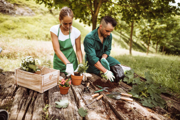 istock couple working together for gardening 1174074398