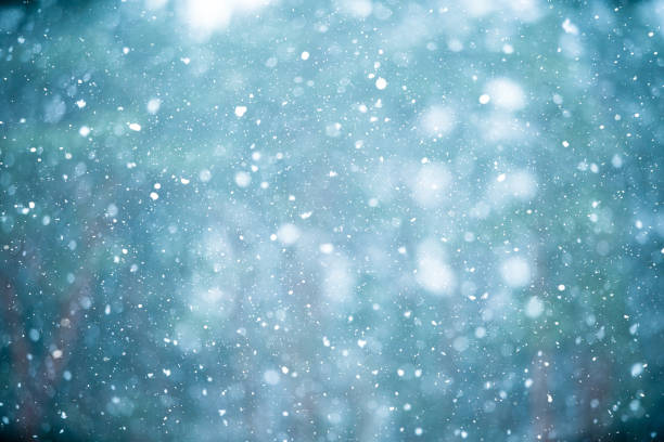 istock Winter scene - snowfall on the blurred forest background 1174078039