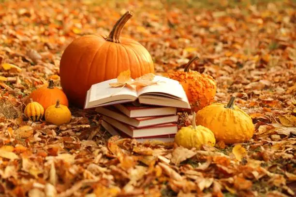 Photo of Autumn books. Reading books about autumn.Halloween books. Stack of books and orange pumpkins set on autumn foliage on nature background