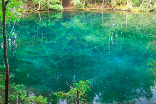 istock Mystically turquoise coloured spring Kiikunlahde in Hollola, Finland 1174082549