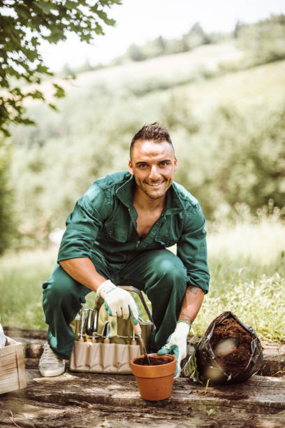 istock gardening man working with plant 1174088166