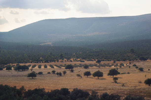 istock Landscape - valley and mountains in the background 1174088326