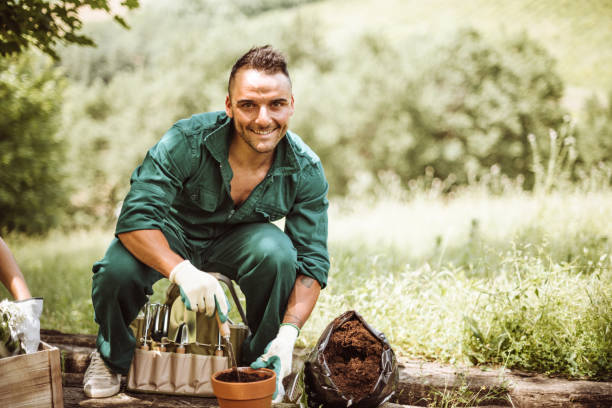 istock gardening man working with plant 1174088452