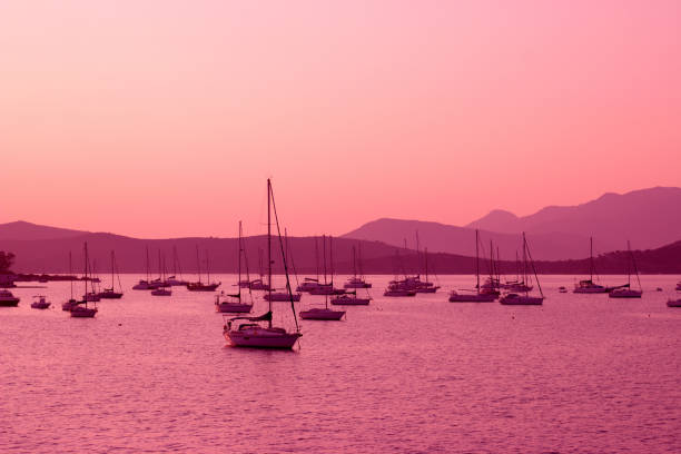 Serene panoramic view of Punta del Este Marina on the left and Gorriti Island on the right at dusk, captured with a wide angle from the nearby beach.