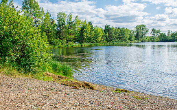 istock landscape with lake on a summer day 1174091084