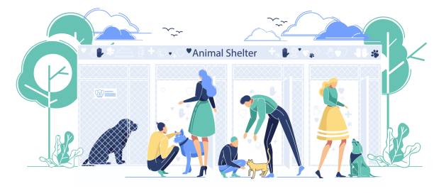 People Visiting Animal Shelter for Pets Adoption People Visiting Animal Shelter for Pets Adoption. Cats and Dogs Sitting in Cages Waiting New Owners, Men and Women Characters Choose Little Friends to Take in Home, Cartoon Flat Vector Illustration person sitting on fence stock illustrations