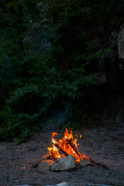 Campfire on the sandy beach in the dark night - selective focus, copy space.