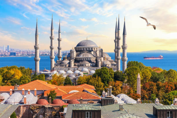 istock The Blue Mosque of Istanbul, beautiful view 1174096567