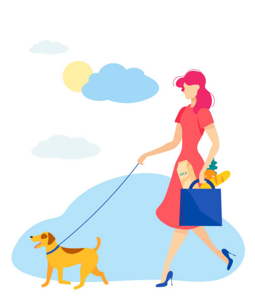 bright flyer walk po wizycie w sklepie cartoon. - dog fashion women clothing store stock illustrations