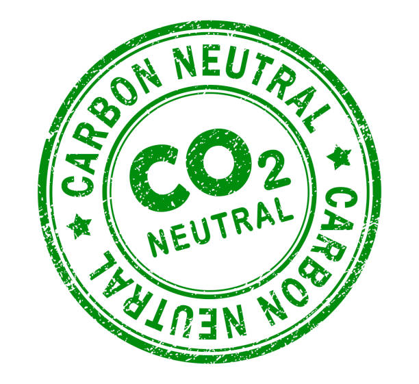 neutralna pod względem emisji dwutlenku węgla zielona uszczelka grunge w stylu retro - ilustracja wektorowa - dioxide stock illustrations